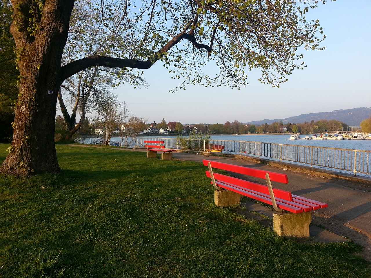 斯佩齊亞的 斯佩齊亞的