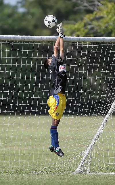 球员还需要 球员还需要