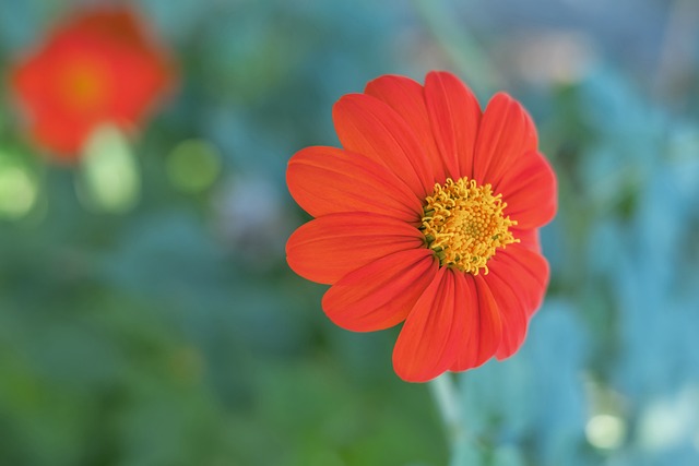 业球员退役 业球员退役