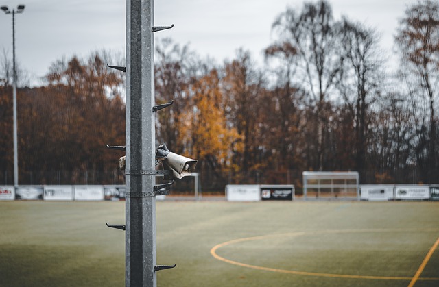 的凝视点 的凝视点