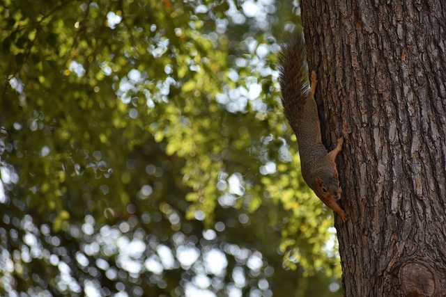 在比赛中 在比赛中
