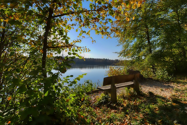 移民体系的 移民体系的