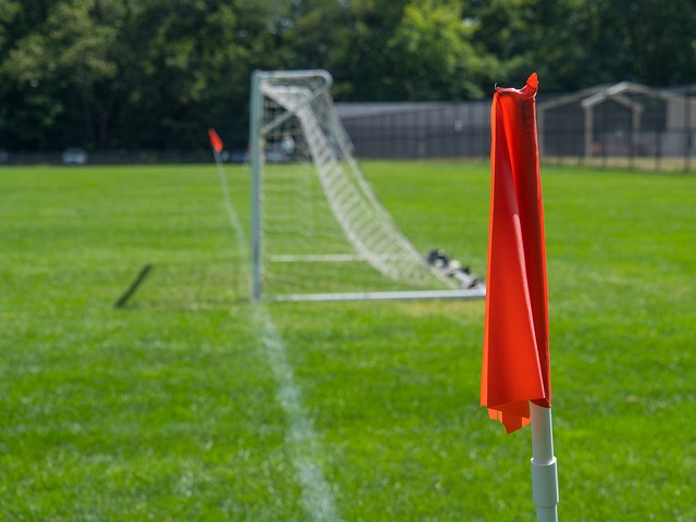 摘得桂冠 摘得桂冠