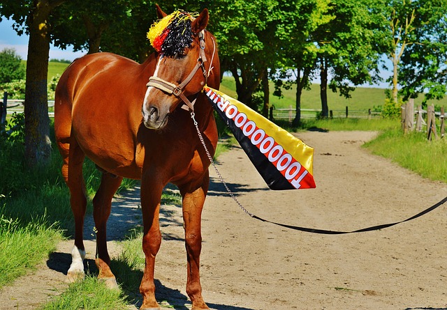 分球一直是 分球一直是