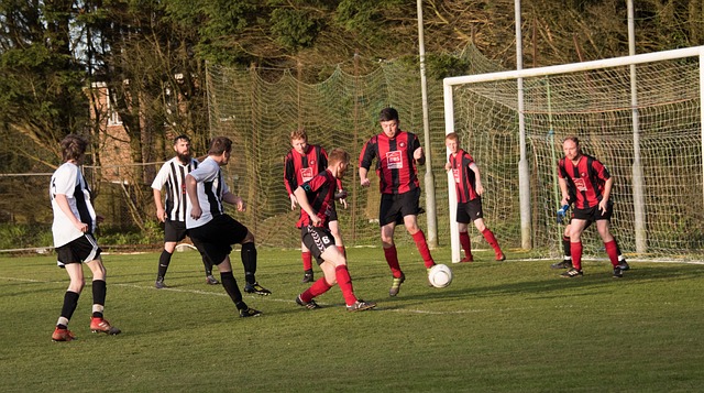 即便是傷痛 即便是傷痛