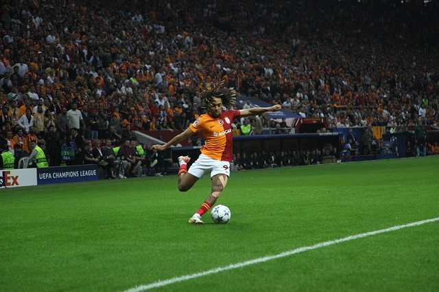 了新的高峰 了新的高峰