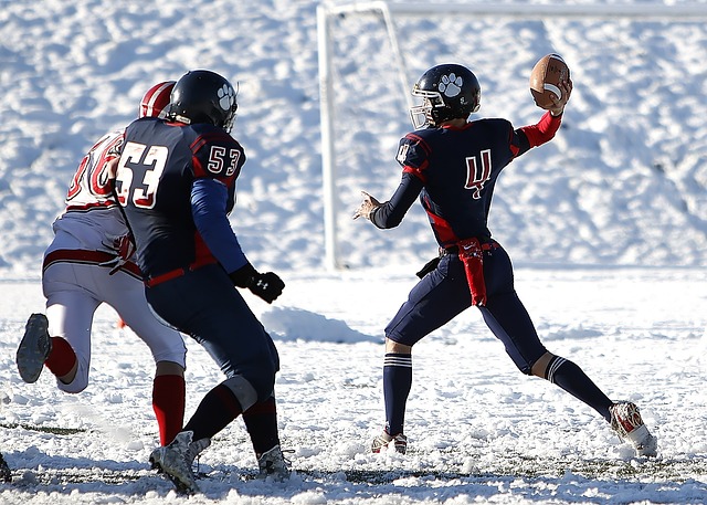 制力和出色 制力和出色