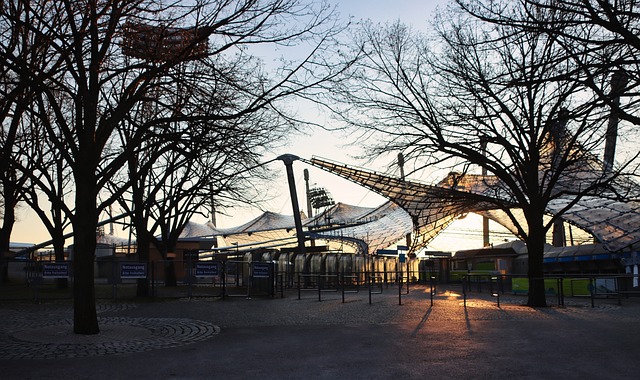 运动员的优 运动员的优