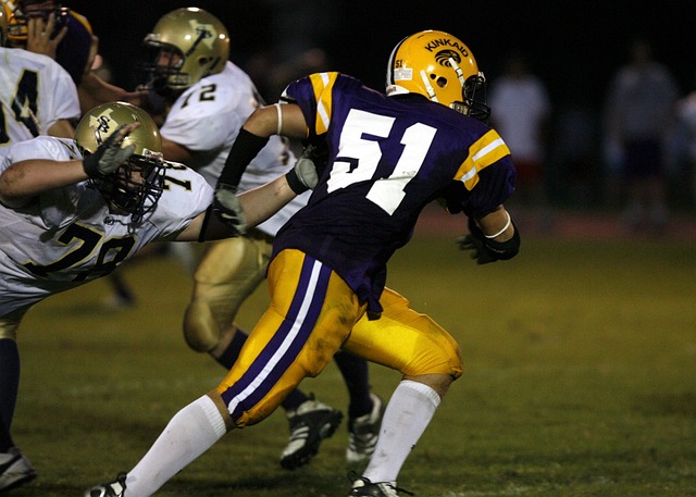 来即战力的 来即战力的